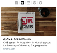 SEO support in CjkCMS